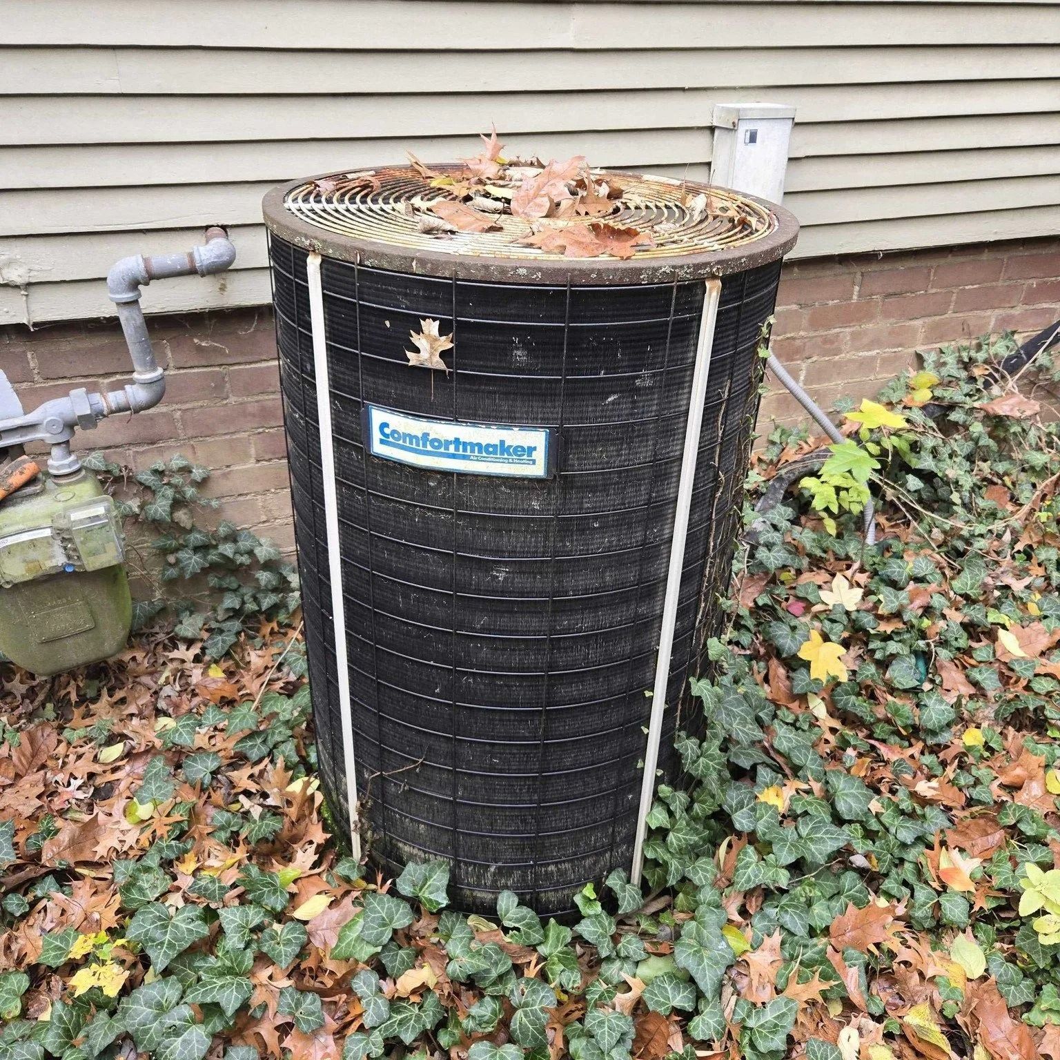 Black outdoor HVAC unit beside a house, surrounded by ivy and fallen leaves.