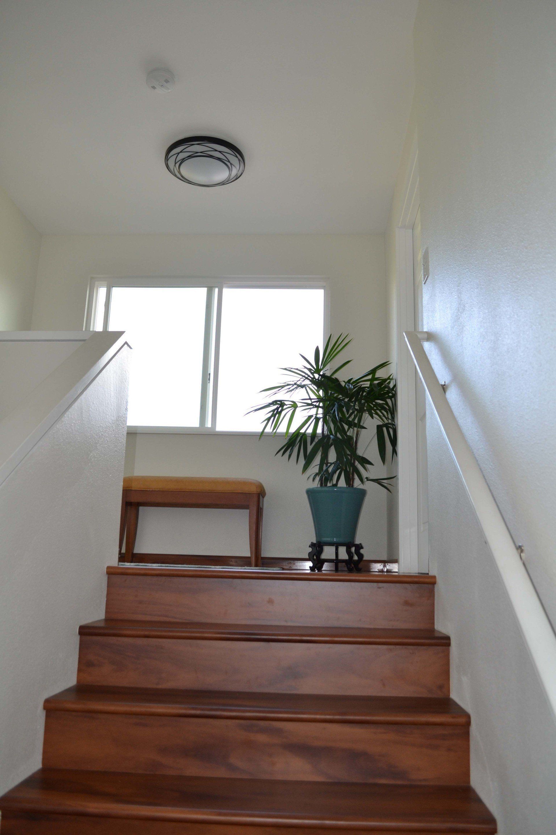 A wooden staircase with a plant on the bottom step