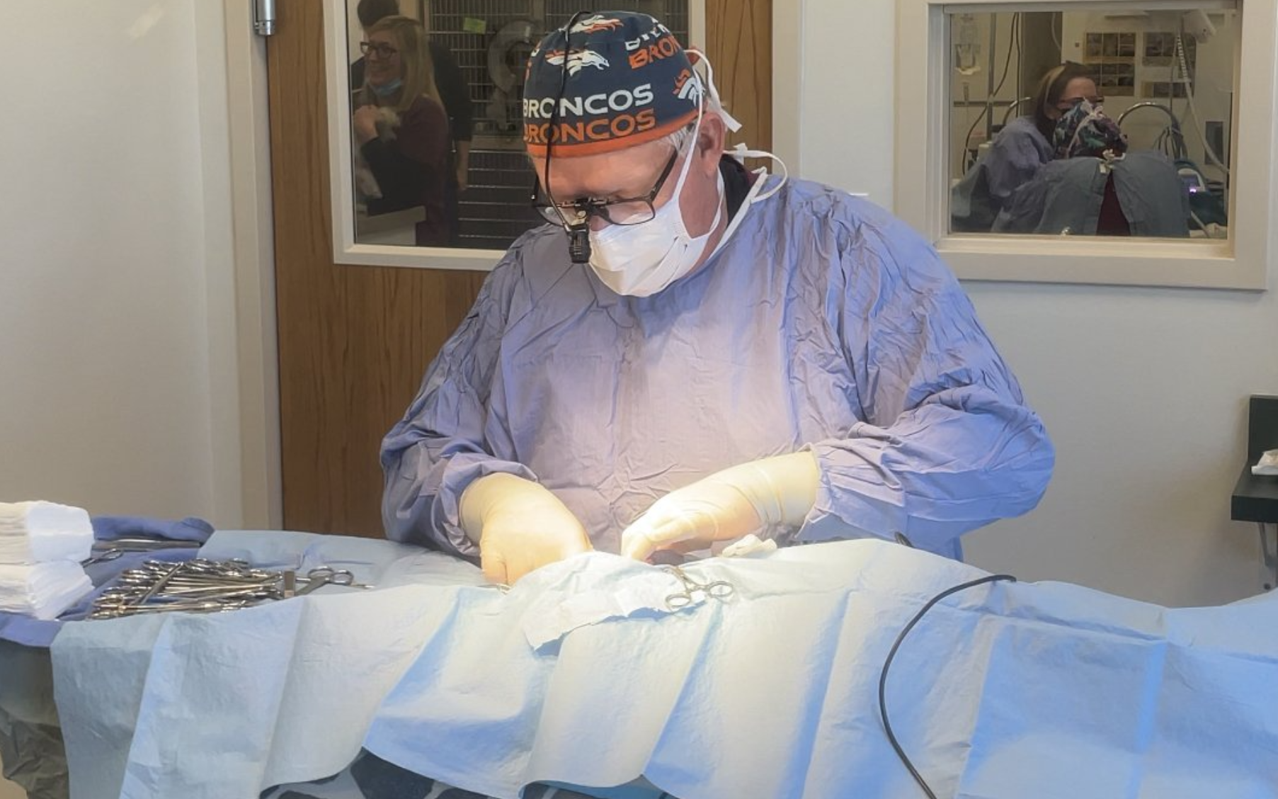 vet doing surgery on dog