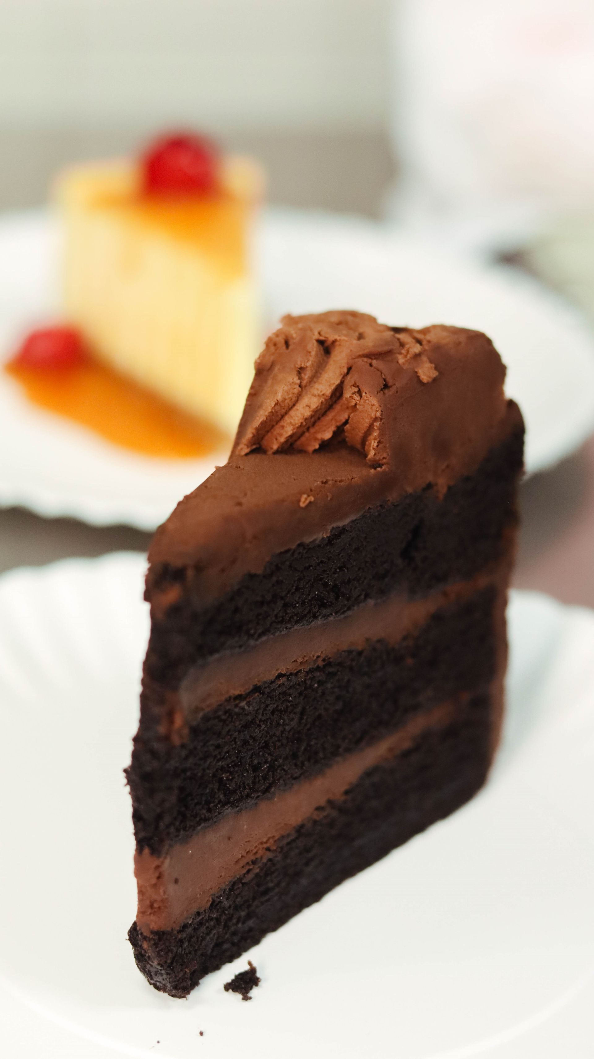 A slice of chocolate cake on a white plate