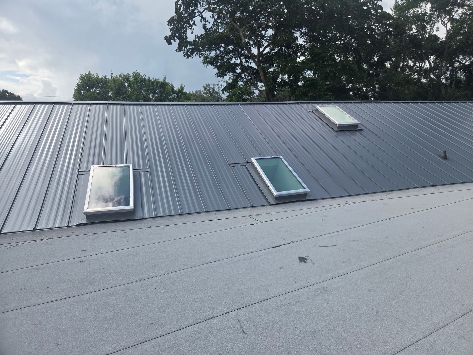 Metal rooftop with three skylights and trees in the background
