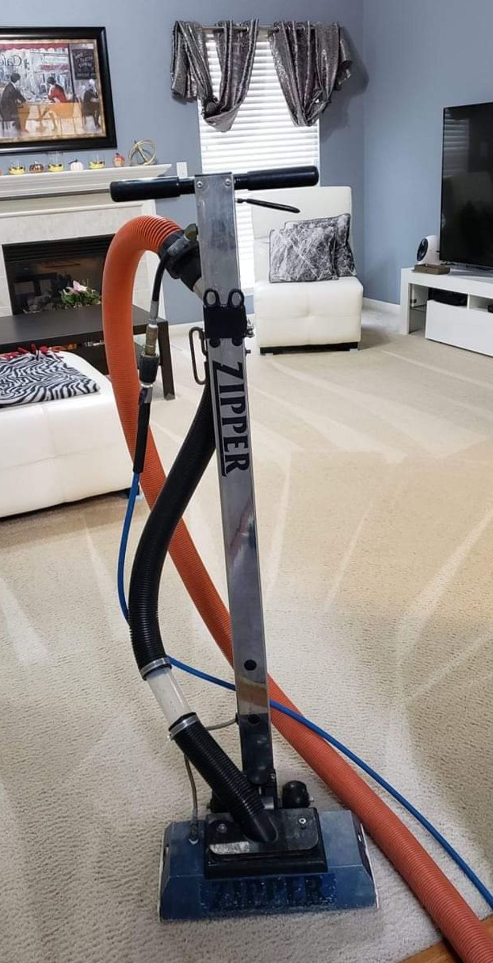 Carpet Cleaning Services