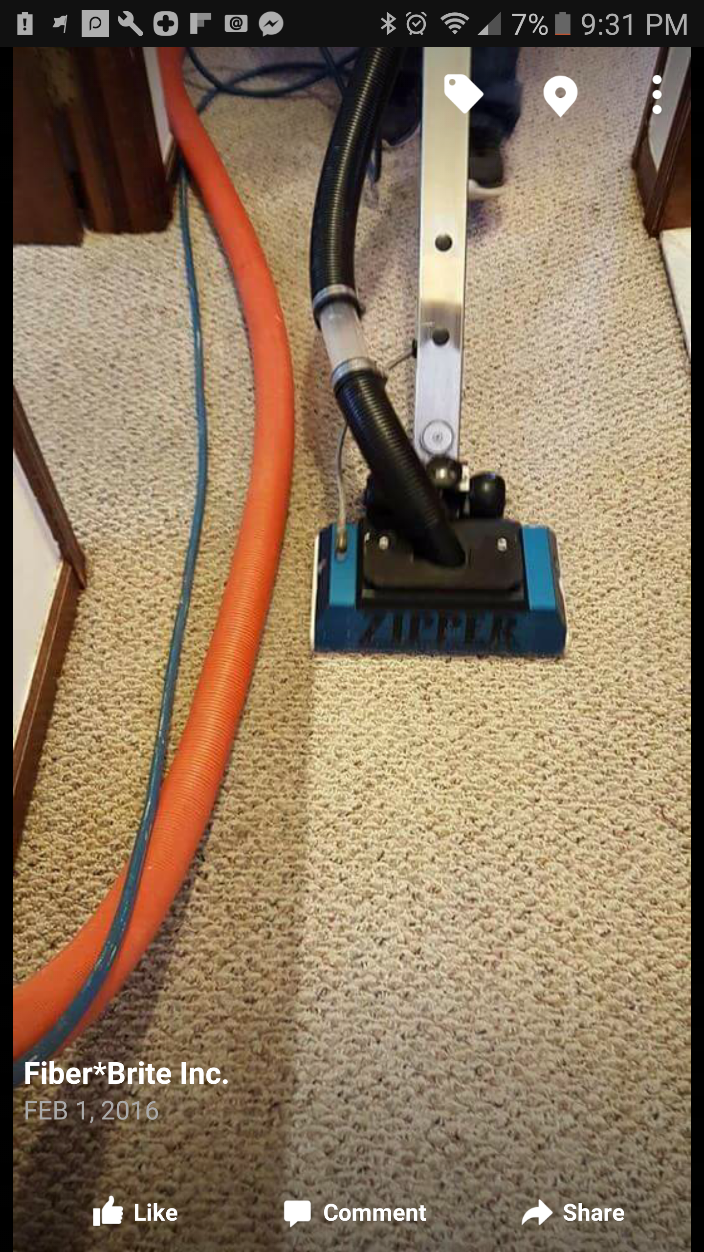 Carpet Cleaning