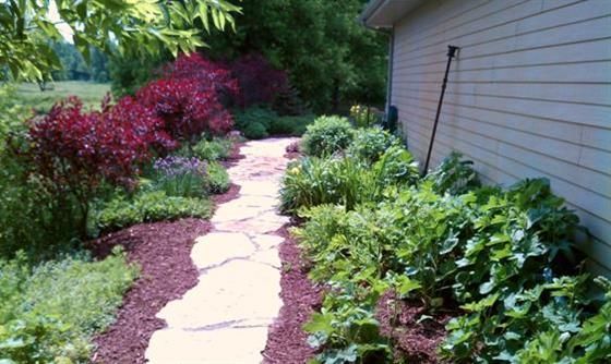Garden walkway beside a house, lined with green shrubs and purple-red plants.