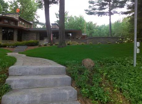 Stone steps winding up a green hillside toward a house among tall trees