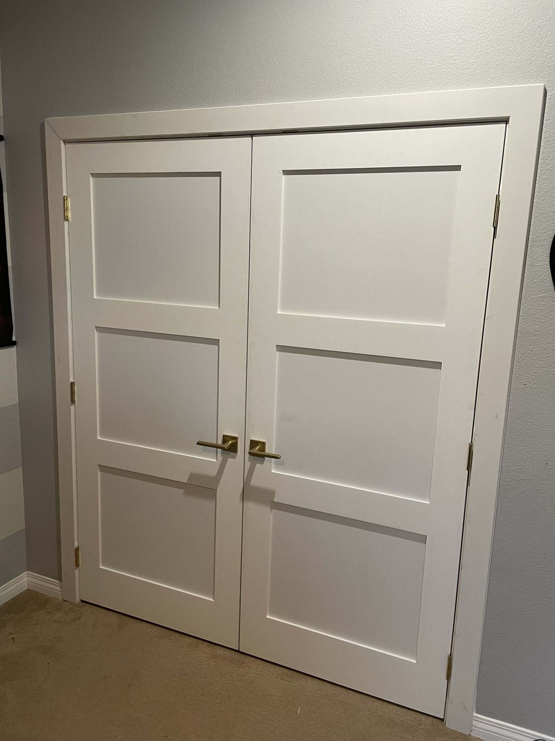 White double closet doors with four recessed panels in a beige carpeted room