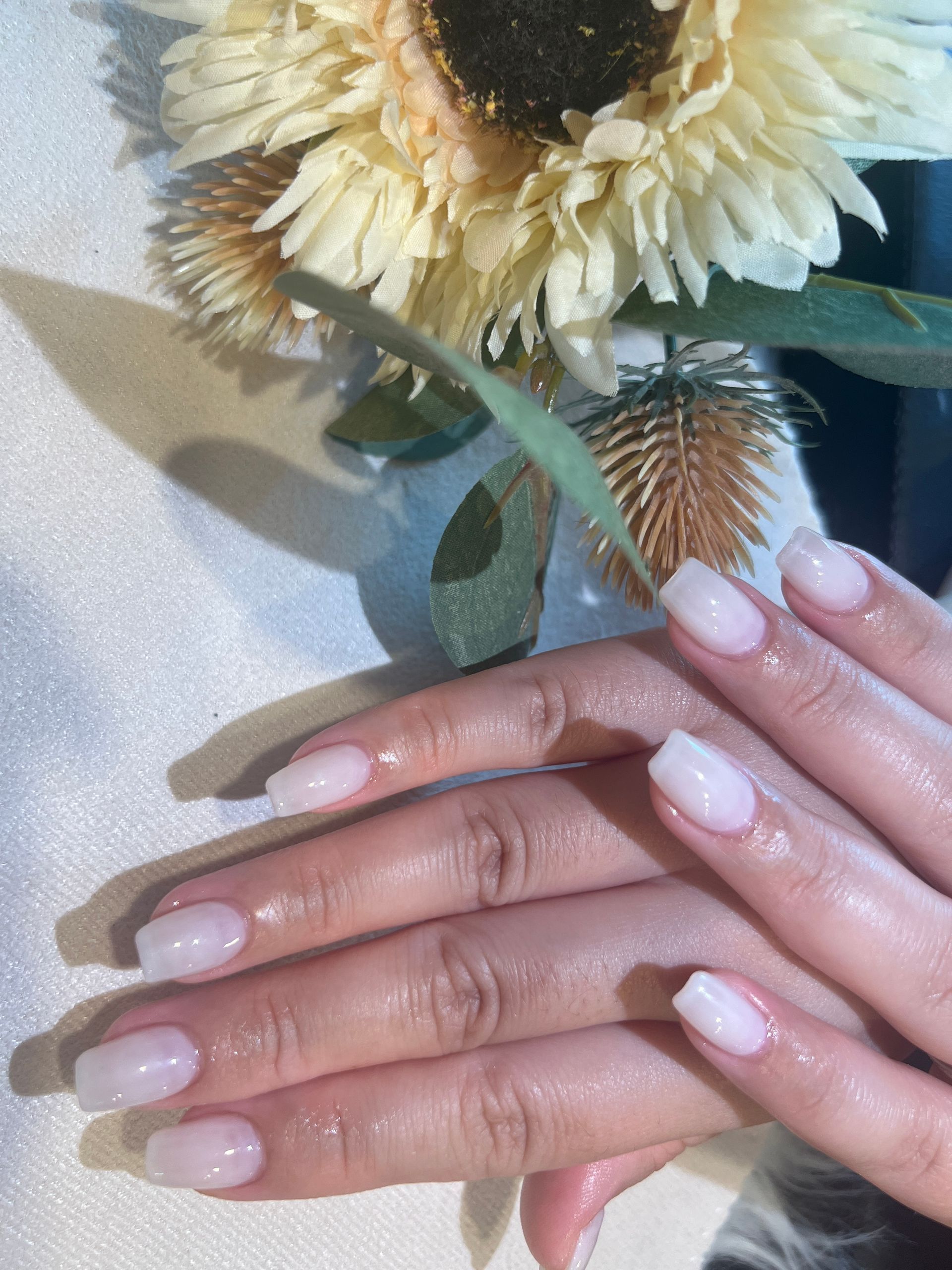 Hands with pale pink French manicure beneath a bouquet of sunflowers