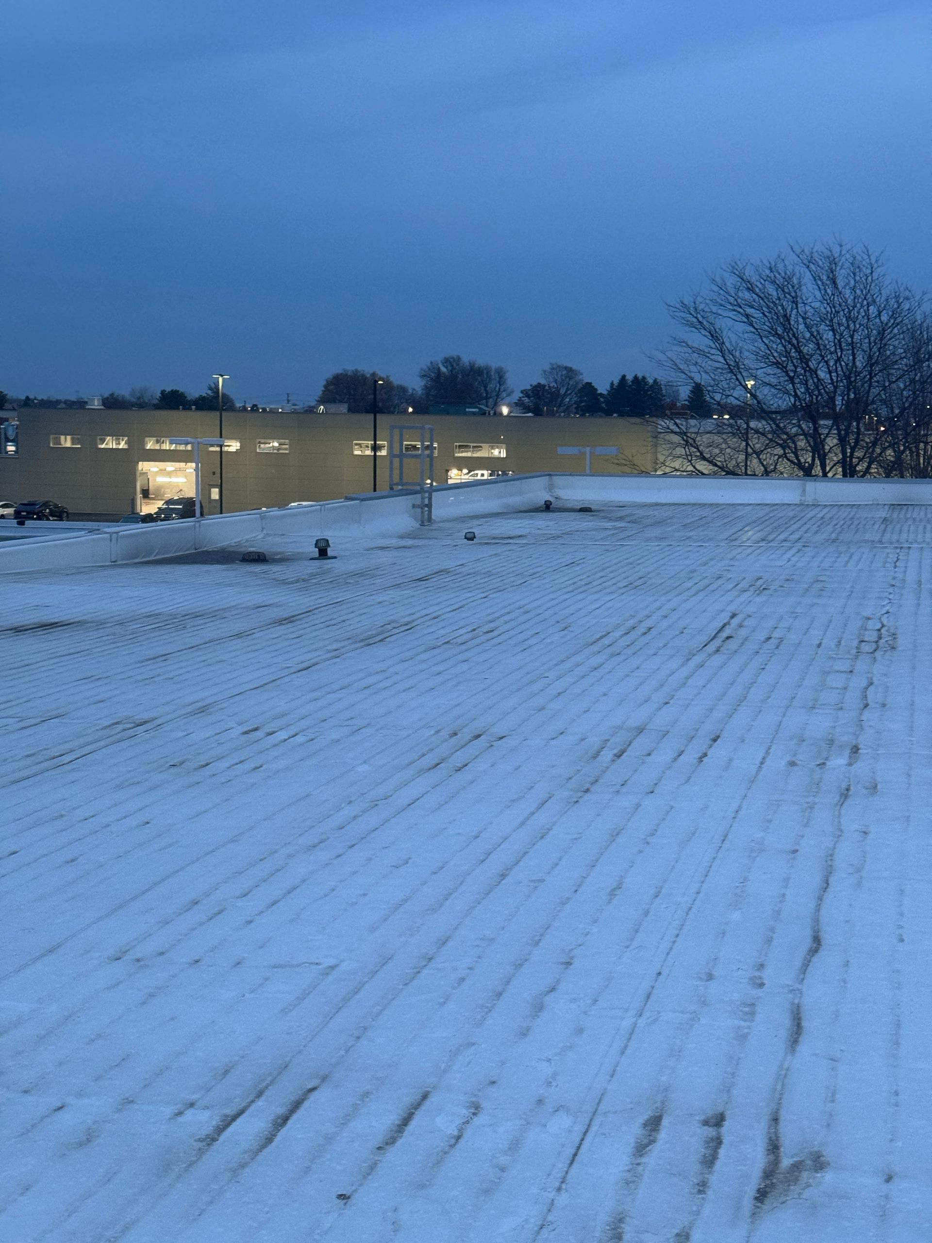 Snow-covered field in front of a building at dusk, with a bare tree and street lights.