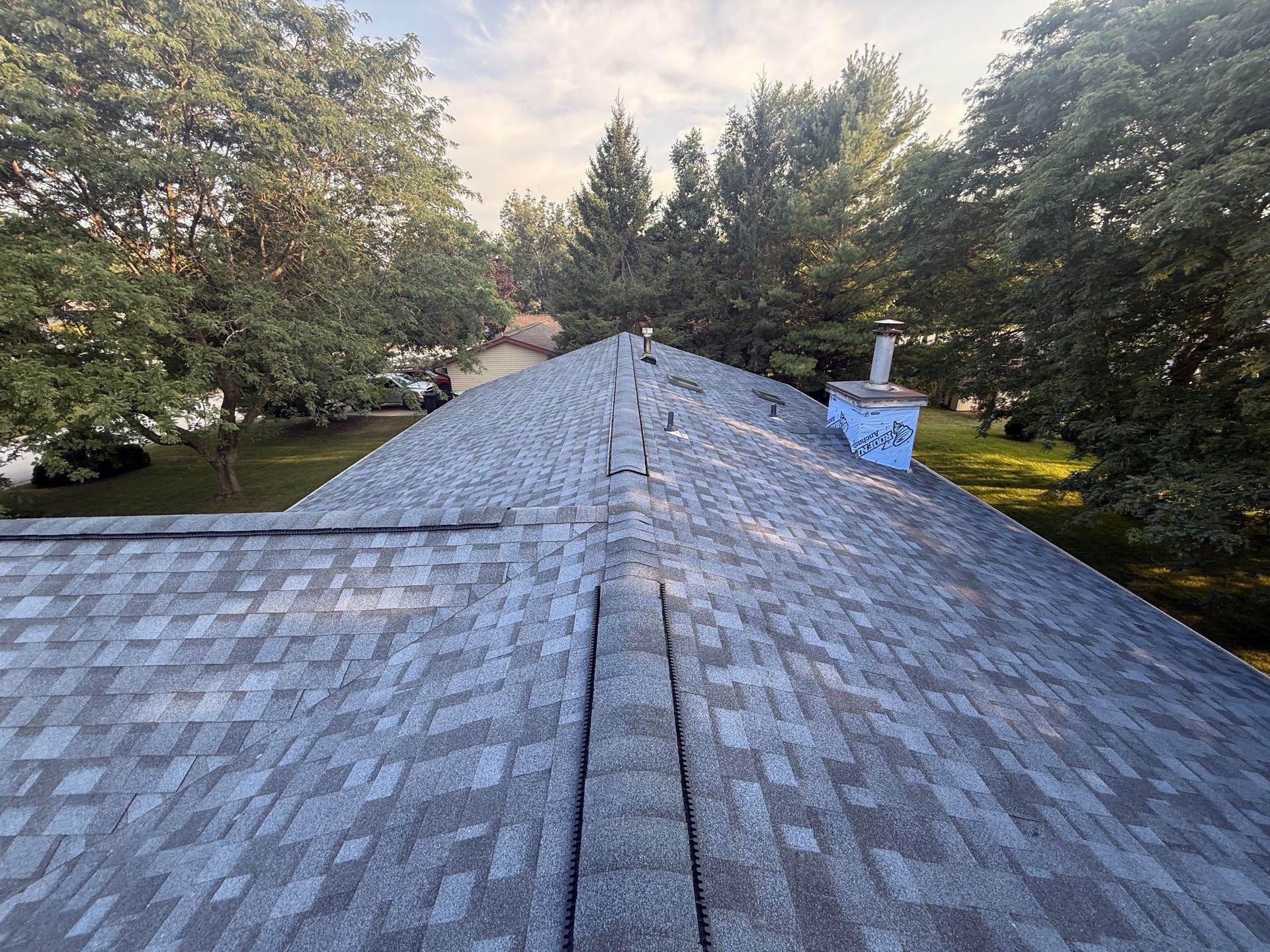 Gray shingle roof, chimney, trees, and sky. The roof is viewed from above.