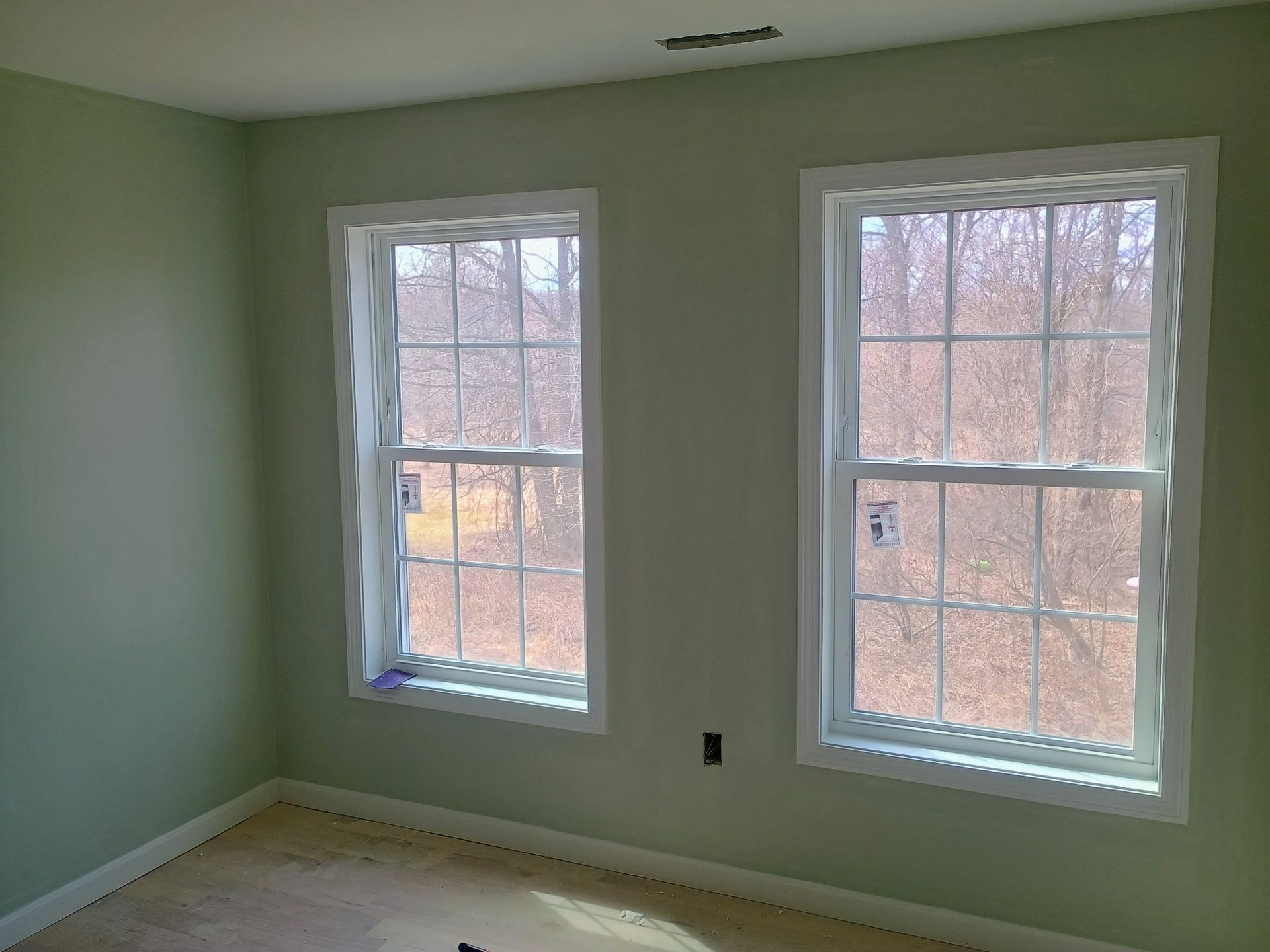 Two white-framed windows on a light green wall in a room, with visible trees outside.