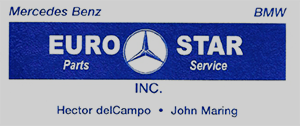 Euro Star logo