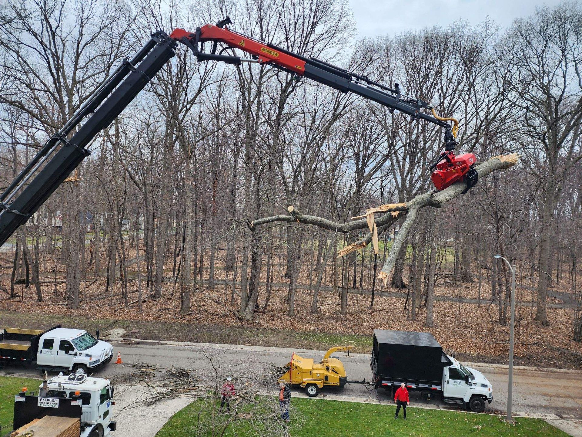 Crane lifts a large tree limb over trucks in a wooded worksite.