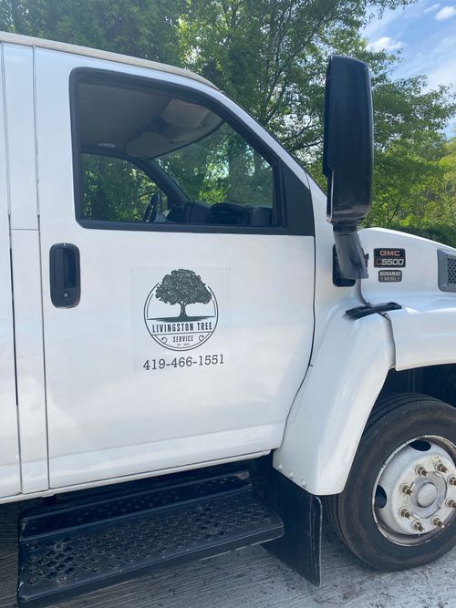 Livingston Tree Service