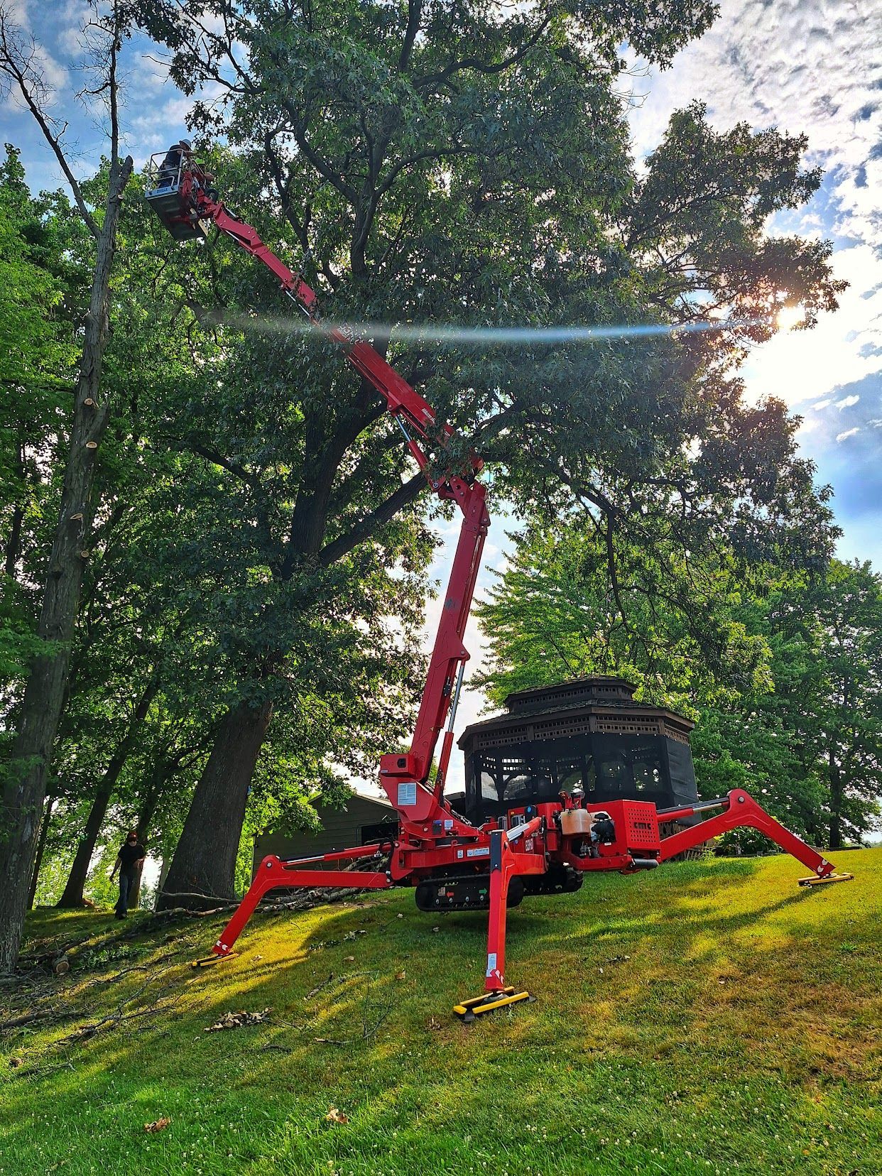 Red spider lift on a grassy slope among tall trees, its boom extended upward in a sunny park.