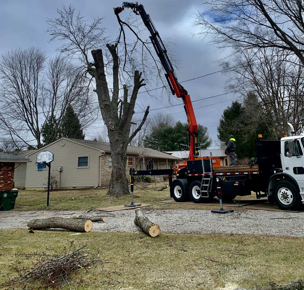 Tree service truck removing a large tree beside a house on a cloudy day