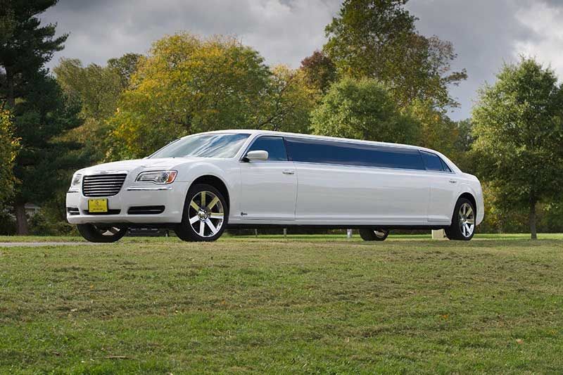 White limousine parked on grass, trees in background.