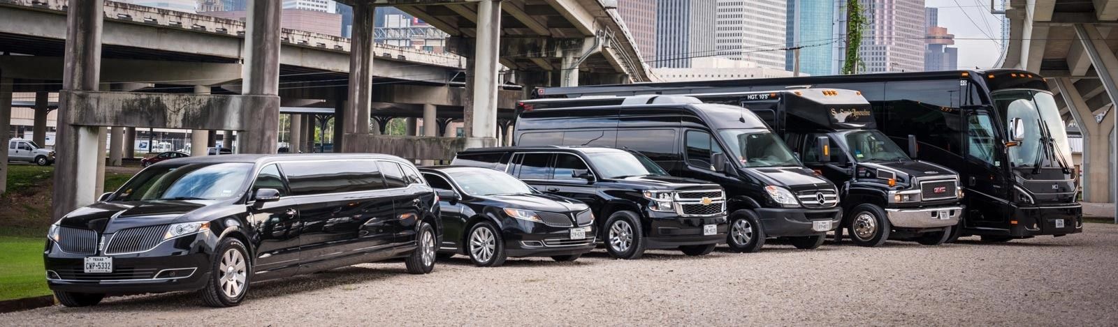 A row of black vehicles, including a limo, SUVs, and vans, parked under a bridge.