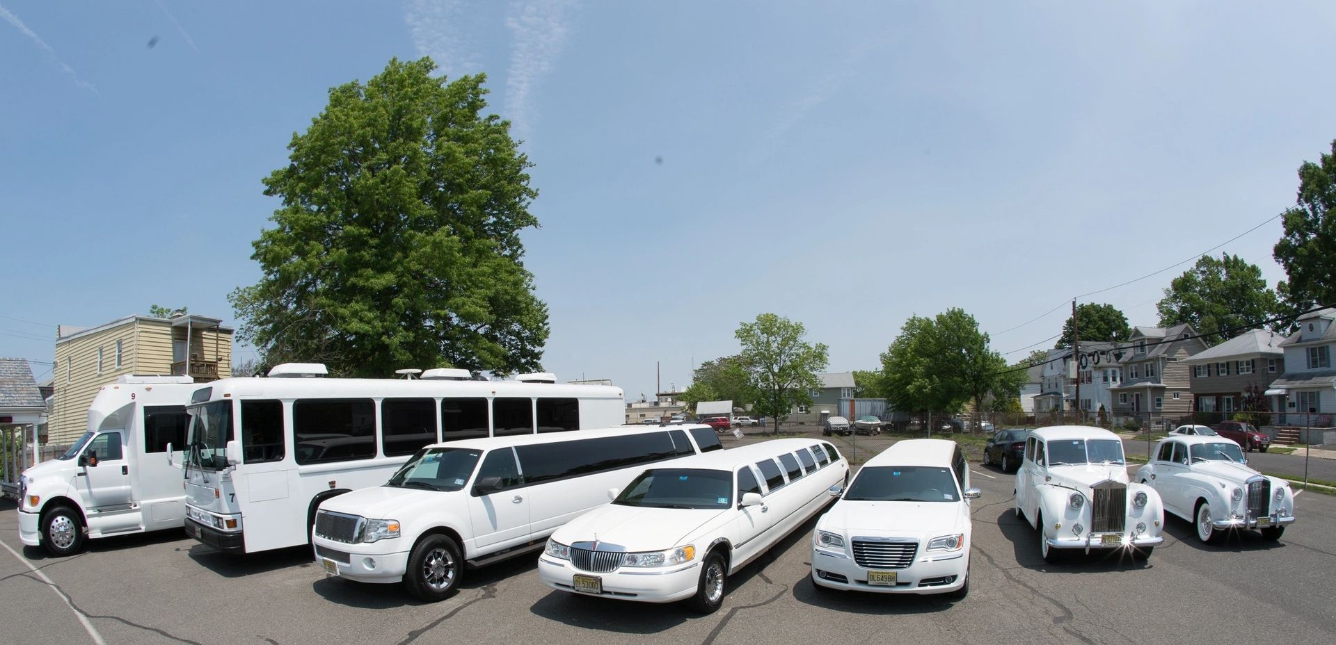White vehicles, including limousines, buses, and classic cars, parked outdoors on a sunny day.