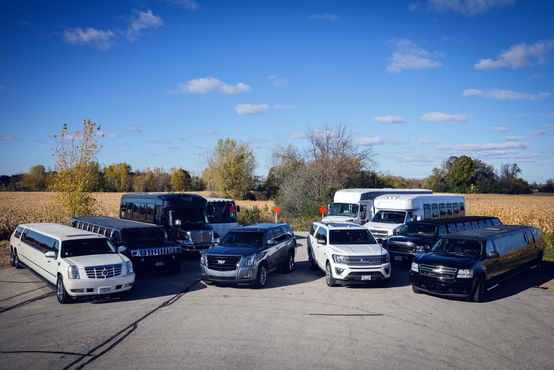 A fleet of limousines and vans parked outdoors on a sunny day.