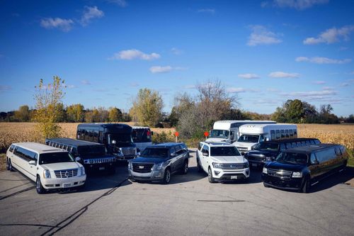 A fleet of limousines and vans parked outdoors on a sunny day.