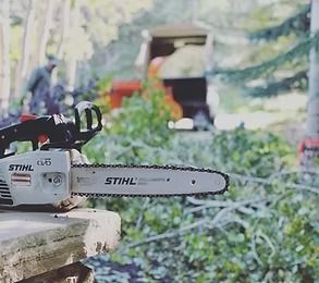 Chainsaw resting on a log in a wooded area, with cut branches and a blurred worker in the background