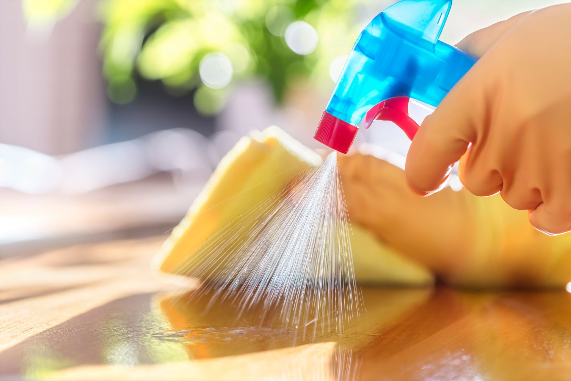 Marinhos General Cleaning INC