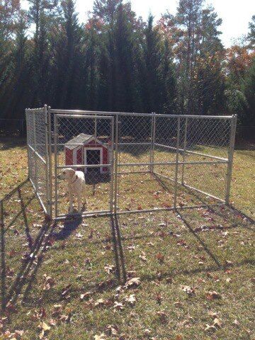 Dog kennels