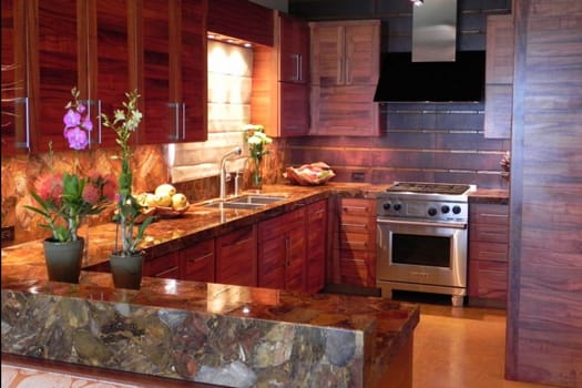 Brown Petrified Wood Kitchen