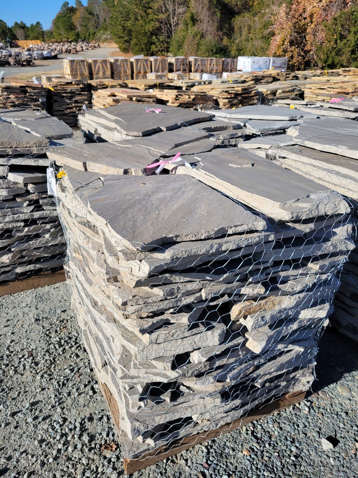 Tennessee B/G Flagging