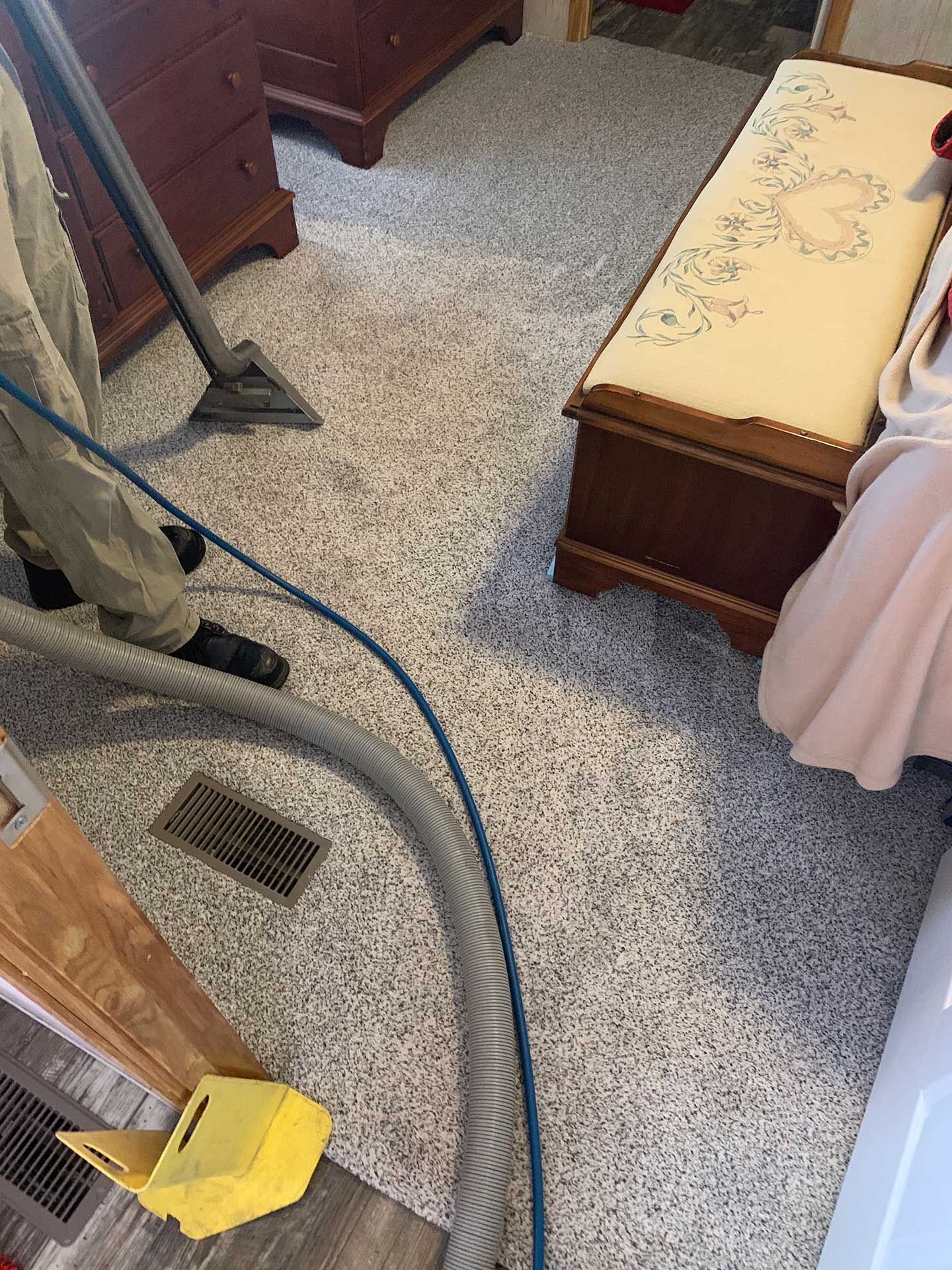 carpet cleaning