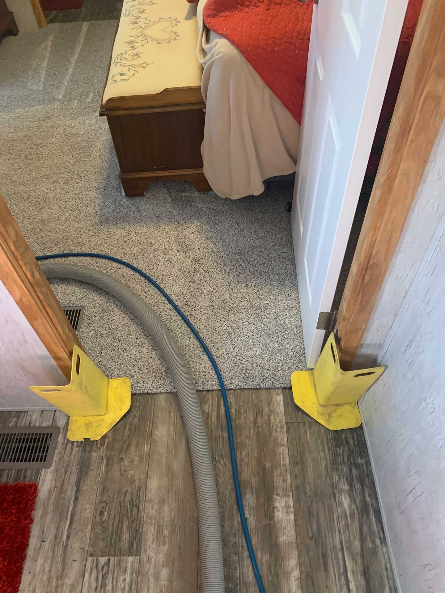 carpet cleaning