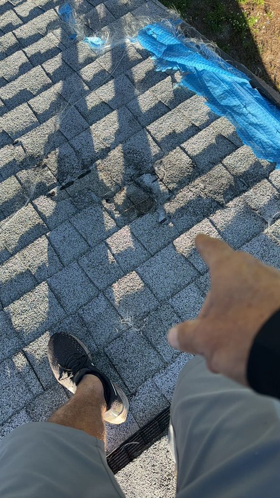Shingle Roof Repair around Punta Gorda, FL