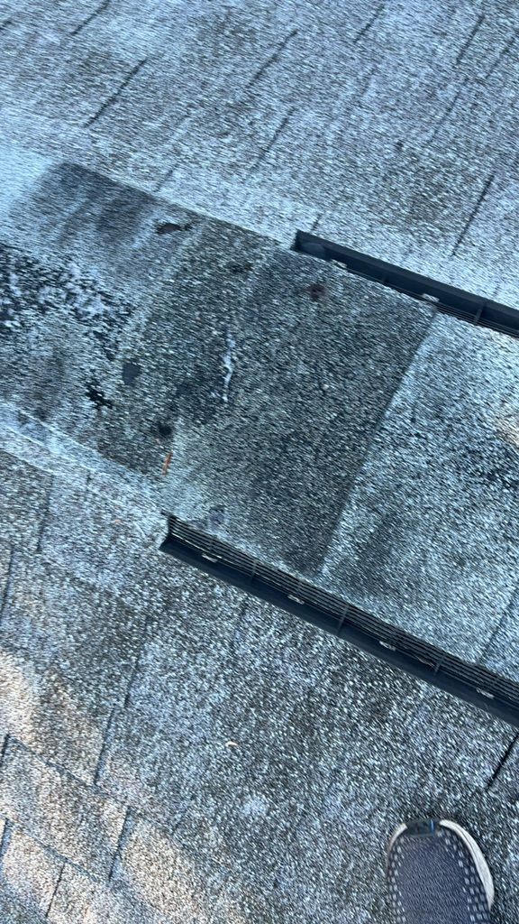 Shingle Roof Repair around Punta Gorda, FL
