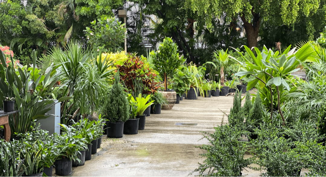 Landscaping and hardscaping services