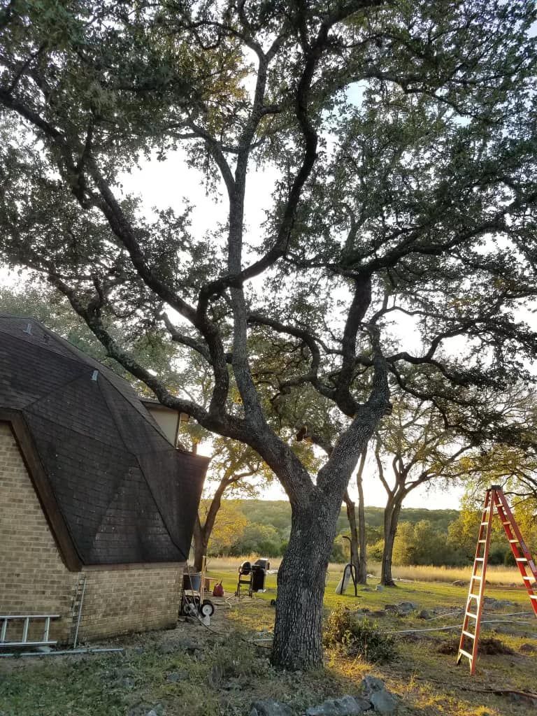 A ladder is sitting next to a tree in front of a house.