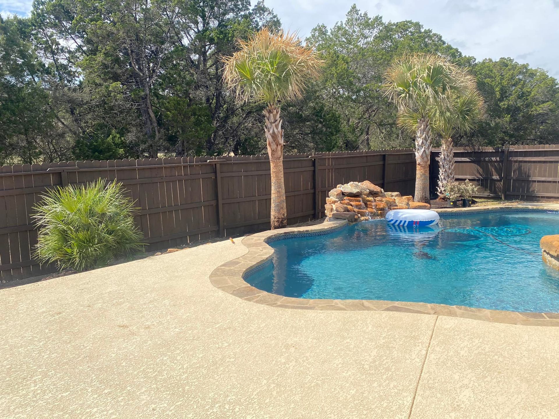 A large swimming pool surrounded by palm trees and a wooden fence.