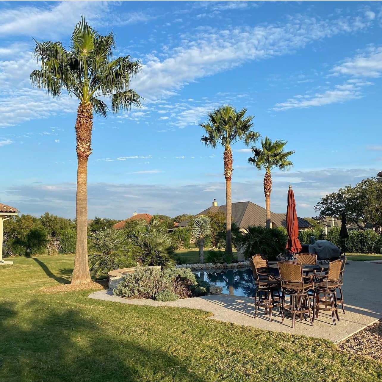A backyard with palm trees and a swimming pool
