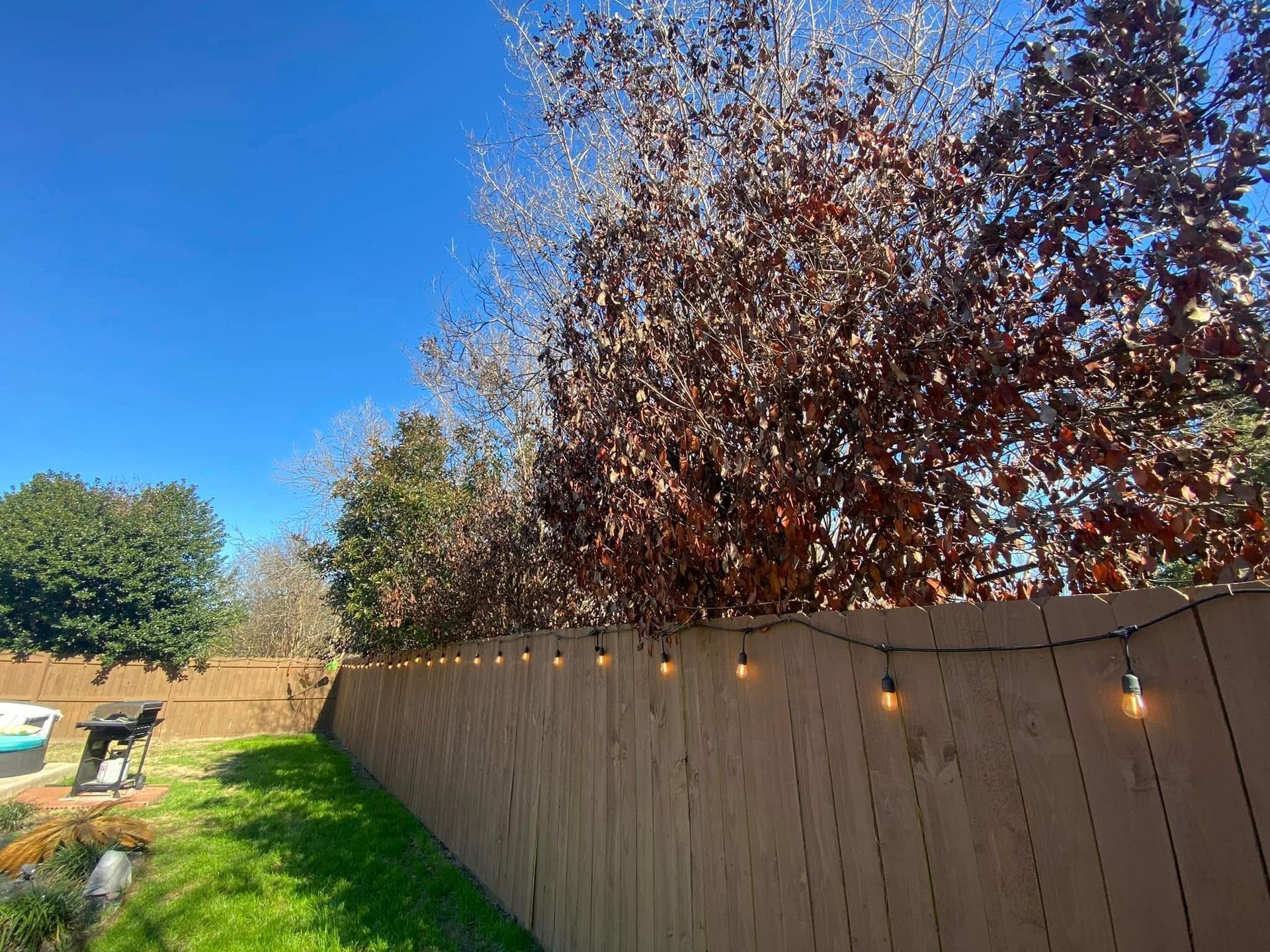 A wooden fence with a string of lights hanging from it.