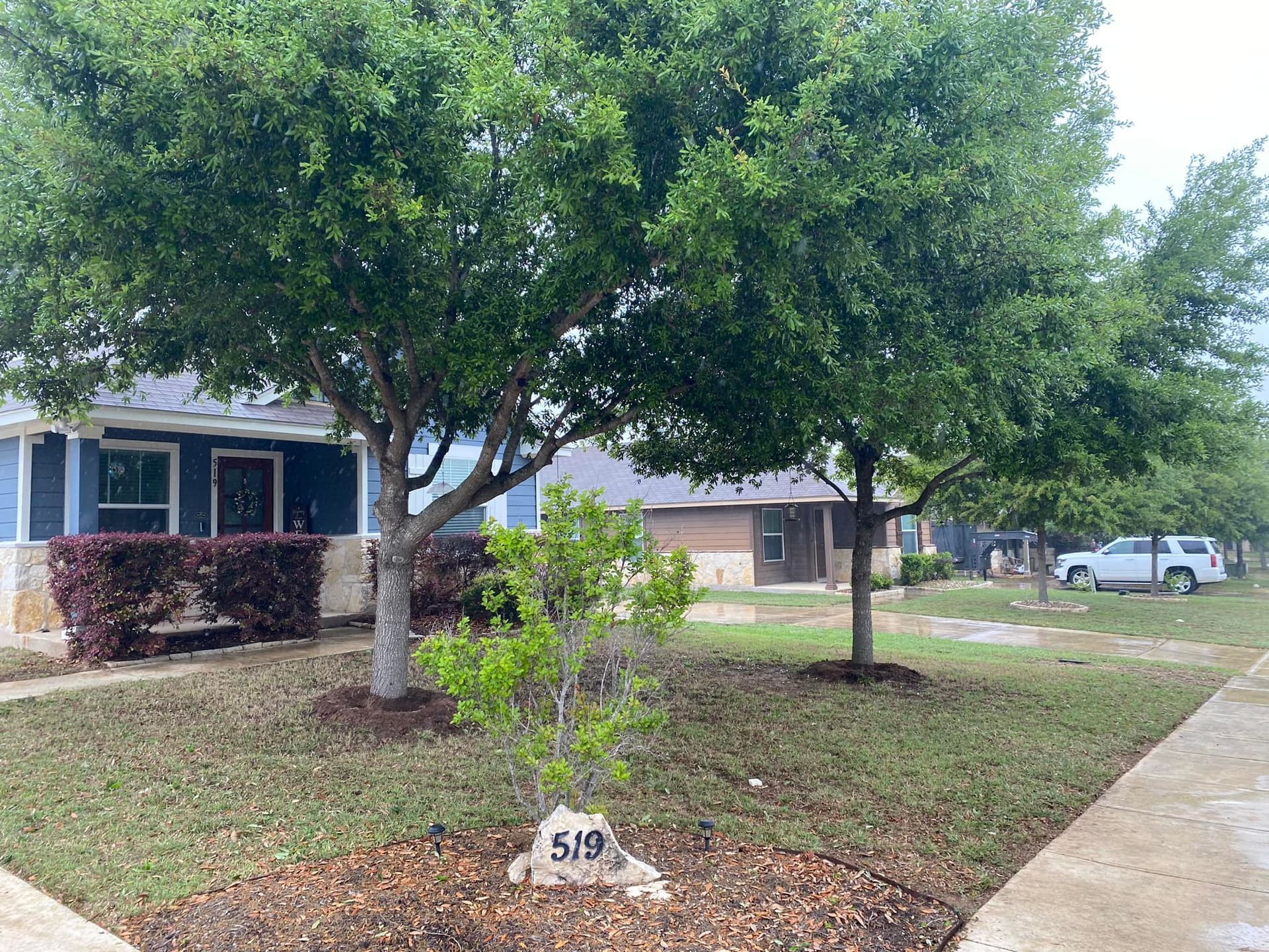 A house with a lot of trees in front of it.