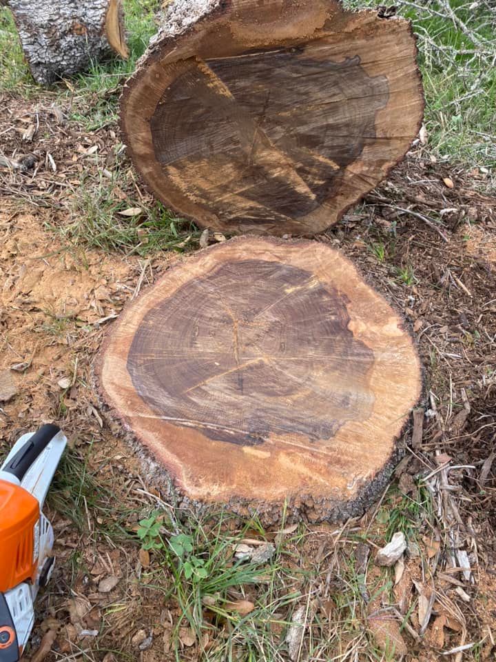 A stump in the middle of a yard in front of a house.