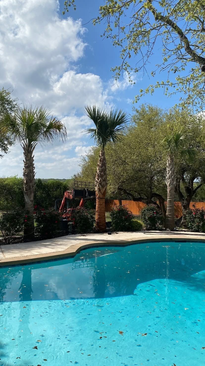 A large swimming pool surrounded by palm trees on a sunny day.