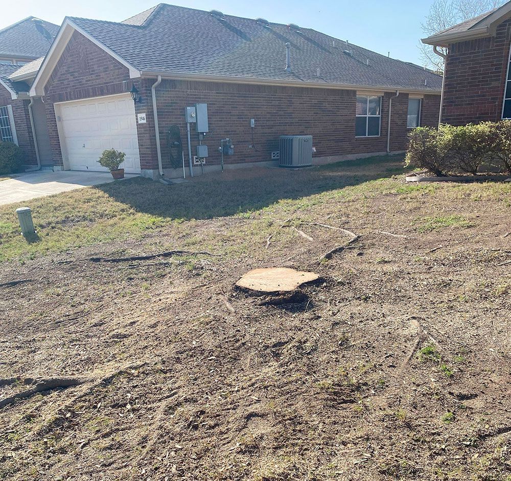 A tree stump is sitting on the ground next to a chainsaw.