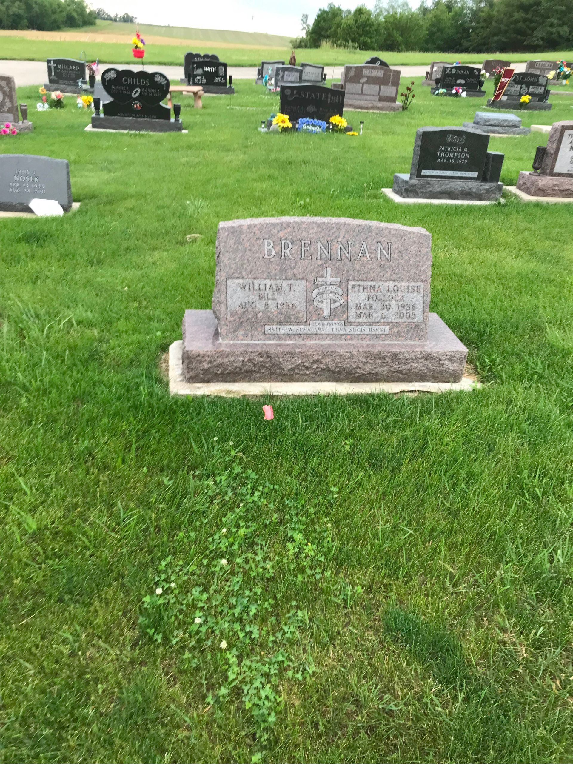 A grave in a cemetery with many graves in the grass