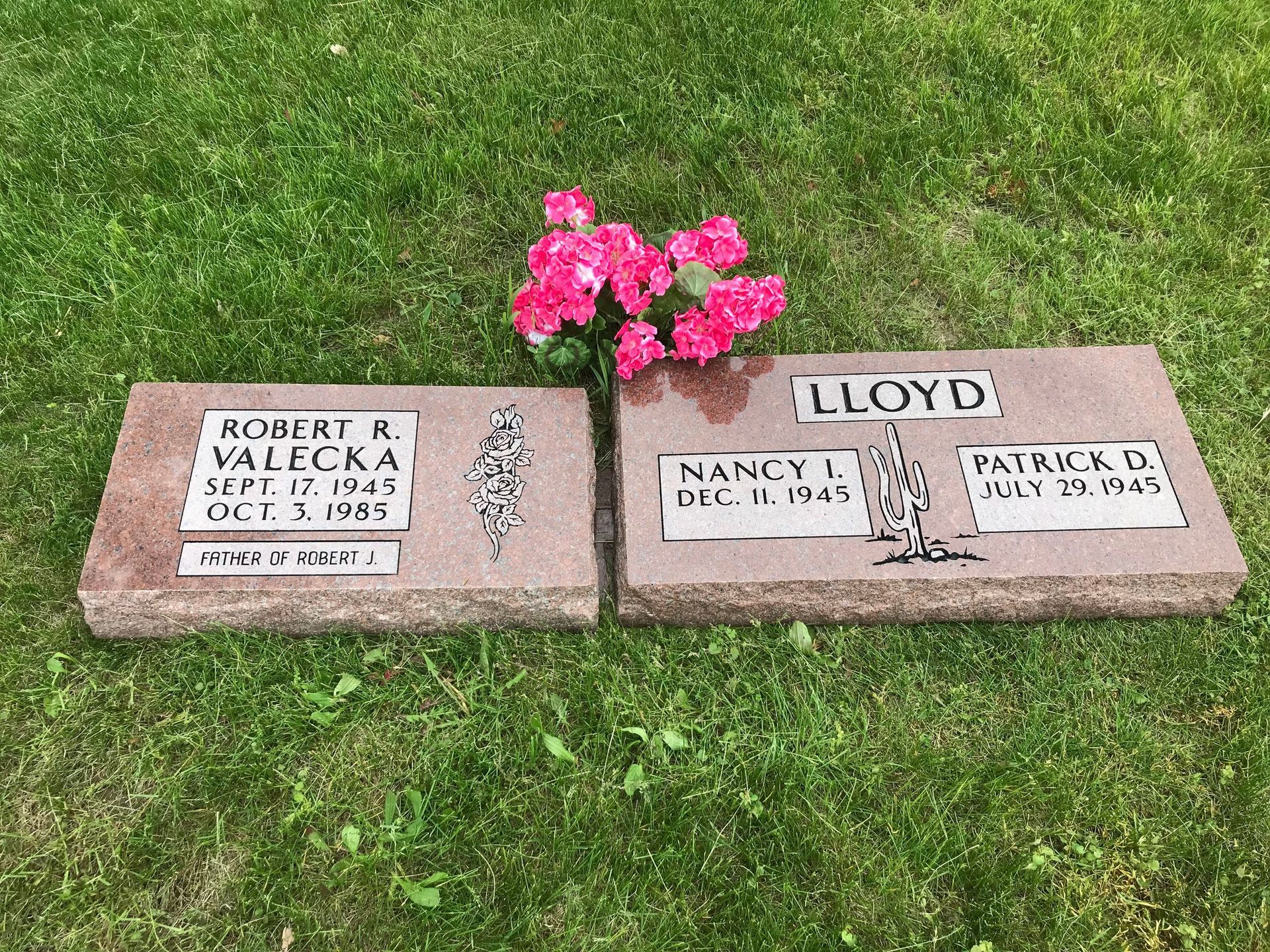 Two graves in a cemetery with pink flowers in the middle