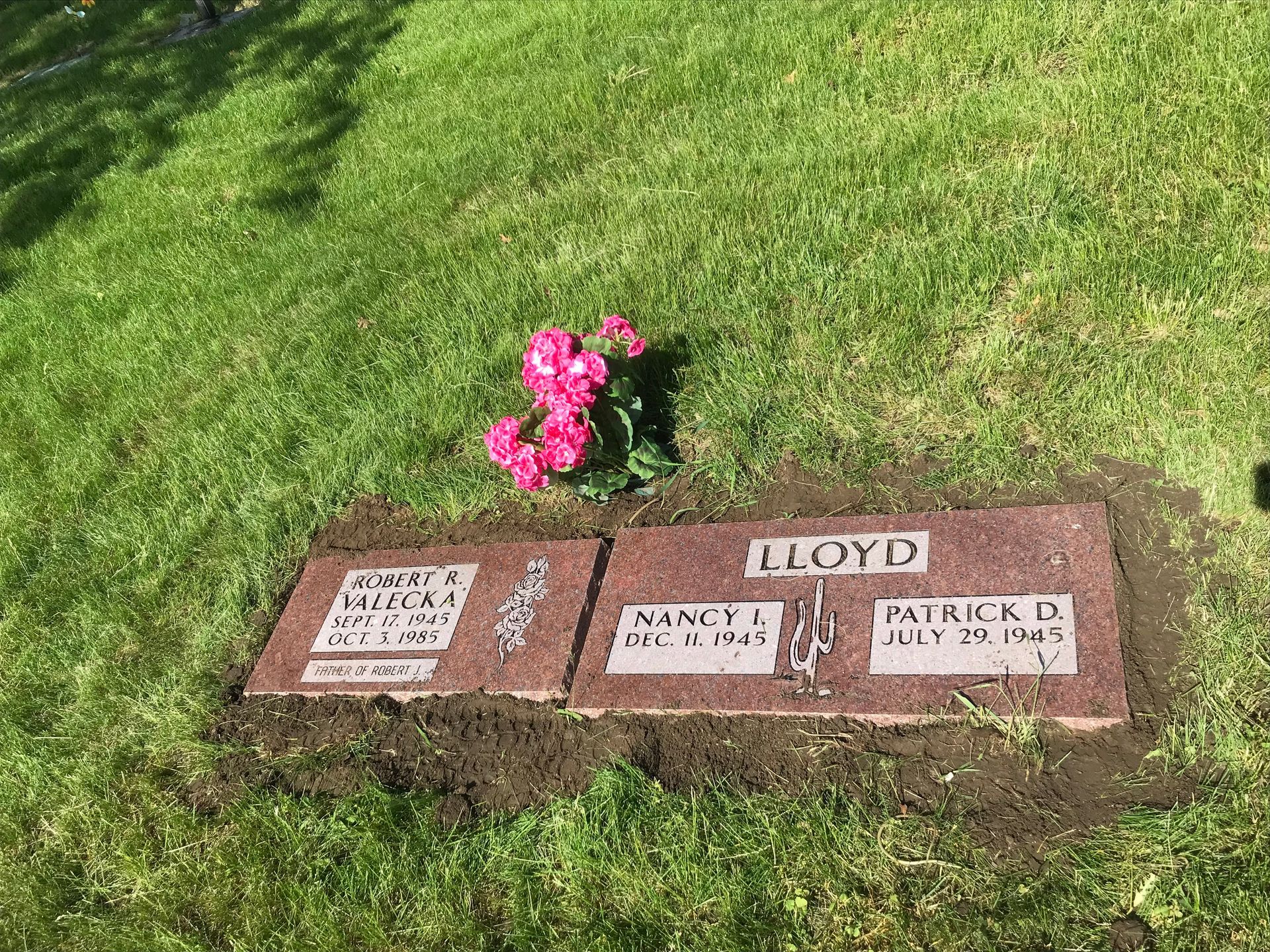 There are two graves in the grass with pink flowers in the middle