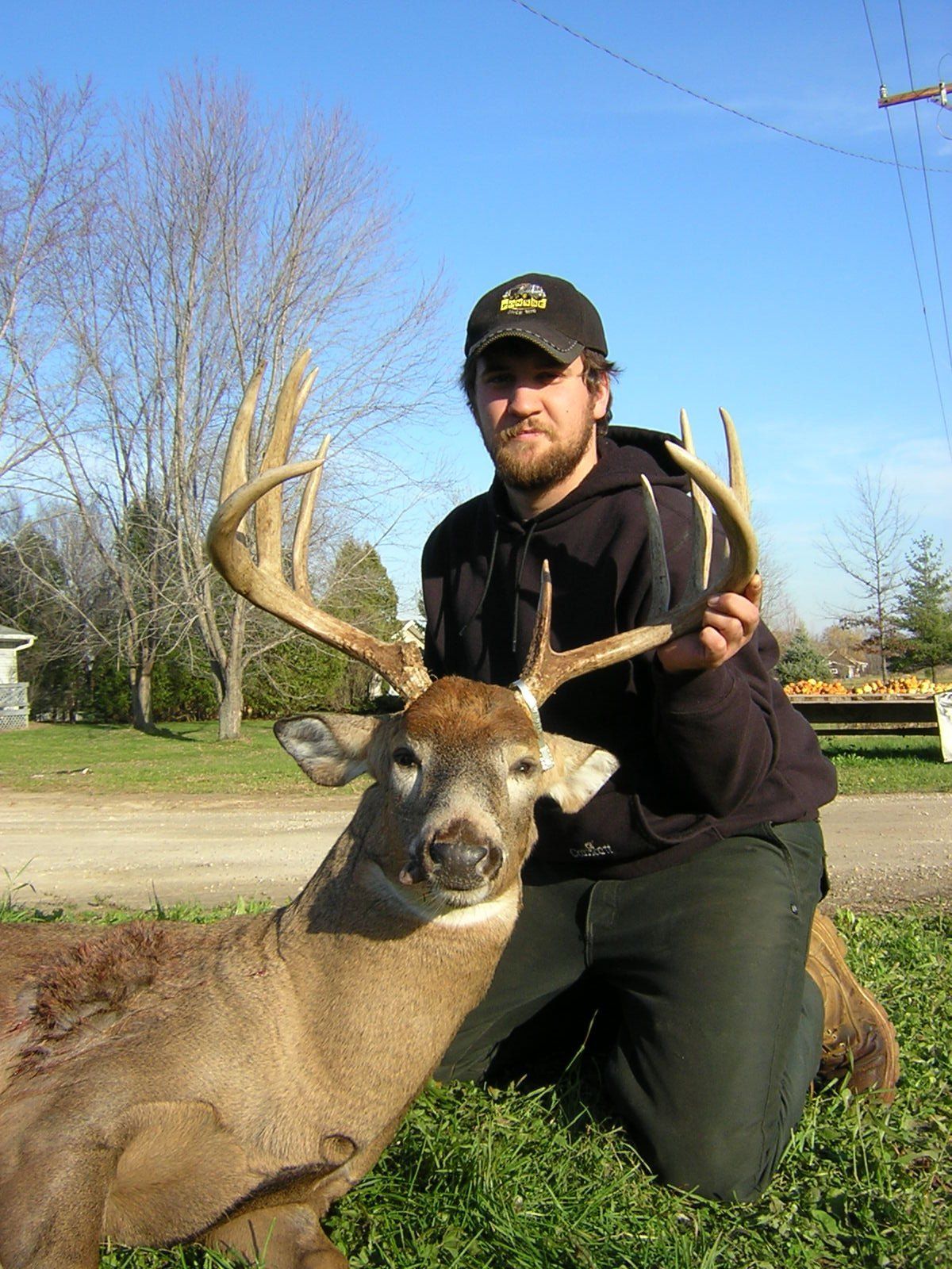 Hunting Big Buck