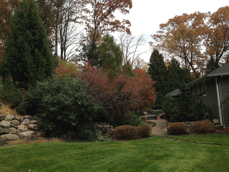 Tree trimming and removal