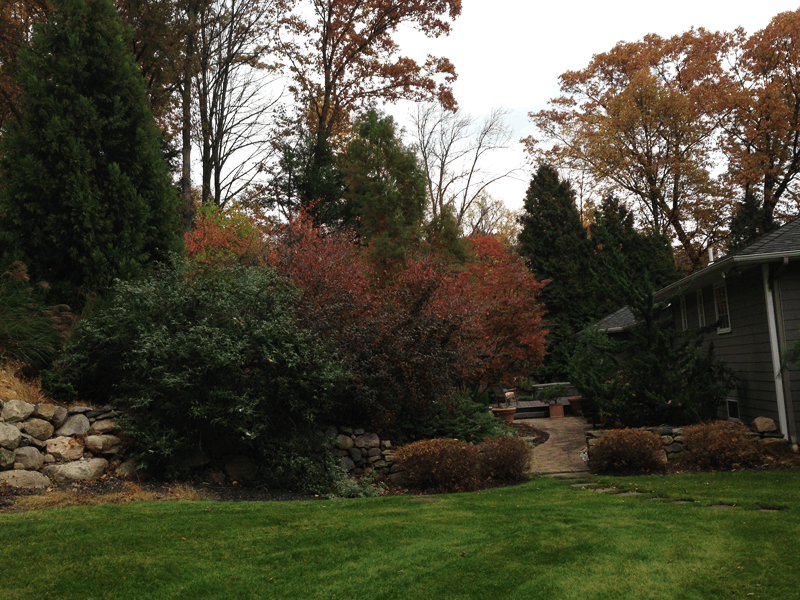 Tree trimming and removal