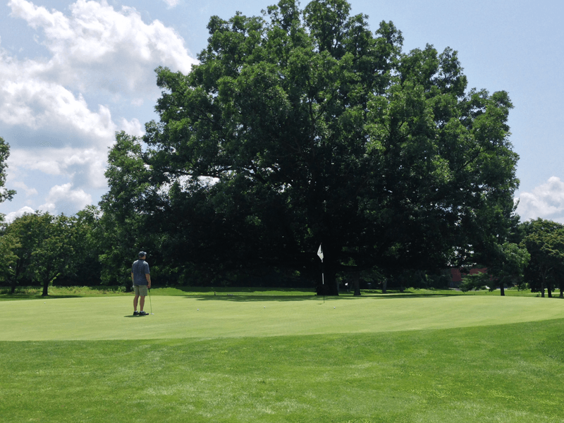 Tree trimming and removal