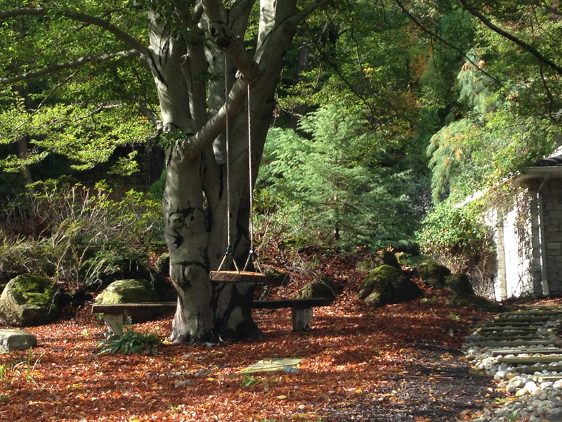 Tree trimming and removal